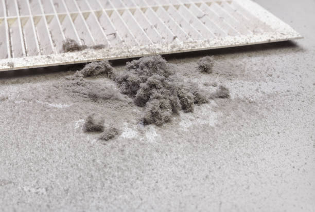 Best Dryer Vent Cleaning Services  in Ada, OH