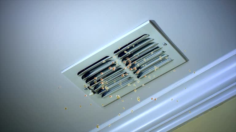 Best Duct Cleaning for Homes  in Ada, OH