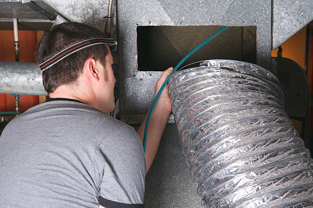 Best Air Duct Mold Removal  in Ada, OH